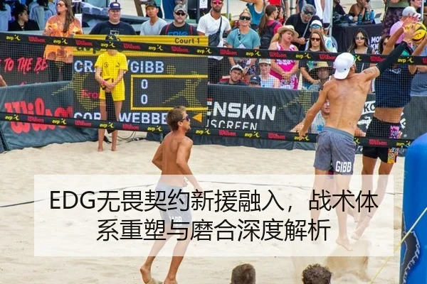 EDG无畏契约新援融入，战术体系重塑与磨合深度解析