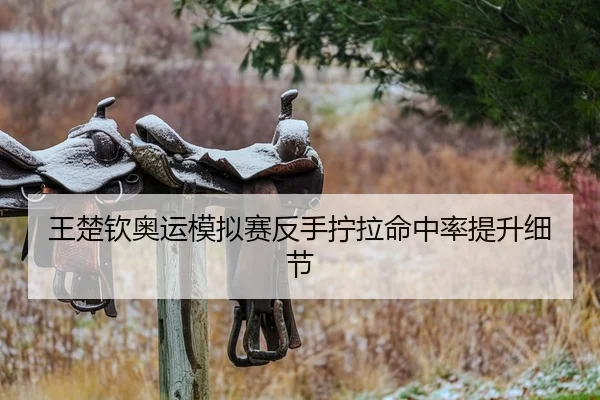 王楚钦奥运模拟赛反手拧拉命中率提升细节