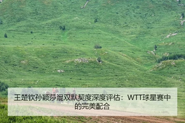 王楚钦孙颖莎混双默契度深度评估：WTT球星赛中的完美配合