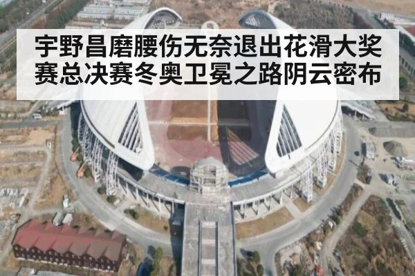 宇野昌磨腰伤无奈退出花滑大奖赛总决赛冬奥卫冕之路阴云密布